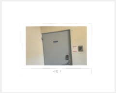  2024Ÿ13394  Ʈ