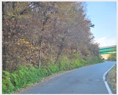  2024Ÿ17648  ̽  60       (Ӿ)