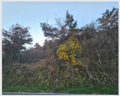  2024Ÿ17648  ̽  60       (Ӿ)