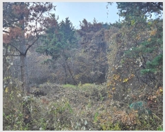  2024Ÿ17648  ̽  60       (Ӿ)