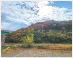  2024Ÿ17648  ̽  60       (Ӿ)