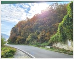  2024Ÿ17648  ̽  60       (Ӿ)