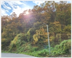  2024Ÿ17648  ̽  60       (Ӿ)