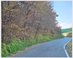  2024Ÿ17648  ̽  60       (Ӿ)