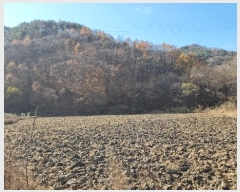  2024Ÿ��17938  �Ӿ߰��