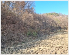  2024Ÿ��17938  �Ӿ߰��