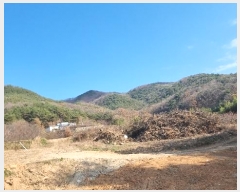  2024Ÿ��17938  �Ӿ߰��