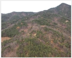  2024Ÿ��17938  �Ӿ߰��