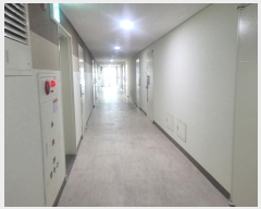  2024Ÿ18238  ̽ 14 42, 191912ȣ (Ӽ,̴Ÿ)     ǽڰ