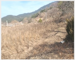  2024Ÿ18993  õ  ߷ 785      ð