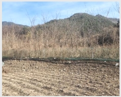  2024Ÿ18993  õ  ߷ 785      ð