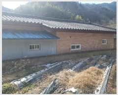  2024Ÿ18993  õ  ߷ 785      ð