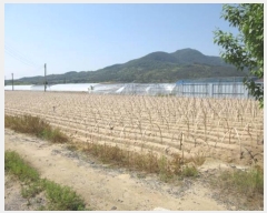  2024Ÿ��735  �����