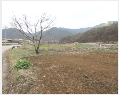  2024Ÿ803    ܾ 410-4      (1)