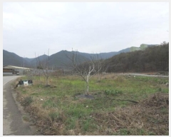  2024Ÿ803    ܾ 410-4      (1)