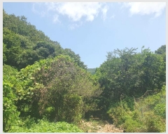  2024Ÿ1271   ϸ  278-1      ()