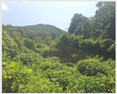  2024Ÿ1271   ϸ  278-1      ()