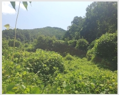  2024Ÿ1271   ϸ  278-1      ()