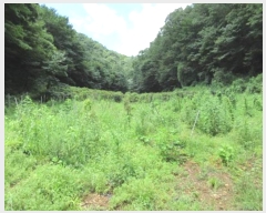  2024Ÿ1271   ϸ  278-1      ()