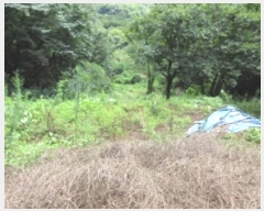  2024Ÿ1271   ϸ  278-1      ()