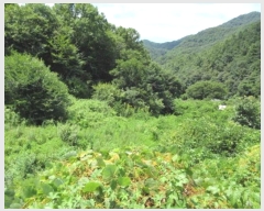  2024Ÿ1271   ϸ  278-1      ()