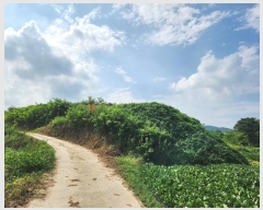  2024Ÿ1295     267      ()