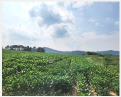  2024Ÿ1295     267      ()