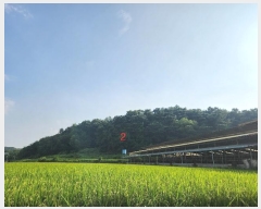  2024Ÿ1295     267      ()