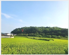  2024Ÿ1295     267      ()