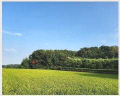  2024Ÿ1295     267      ()