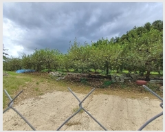  2024Ÿ1431     107      (1)