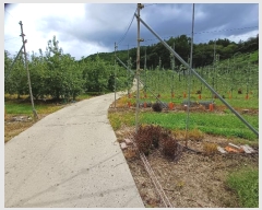  2024Ÿ1431     107      (1)