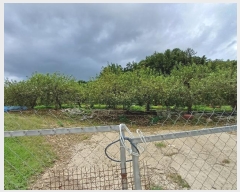  2024Ÿ1431     107      (1)