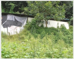  2024Ÿ1431     107      (1)