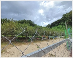  2024Ÿ1431     107      (1)