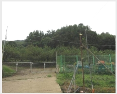  2024Ÿ1431     107      (1)