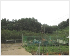  2024Ÿ1431     107      (1)