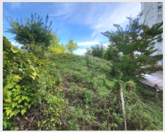  2024Ÿ1530  õ õ  91-1      (Ӿ)