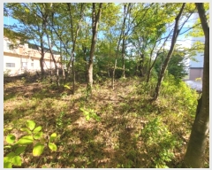  2024Ÿ1530  õ õ  91-1      (Ӿ)