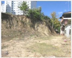  2024Ÿ1530  õ õ  91-1      (Ӿ)