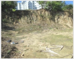  2024Ÿ1530  õ õ  91-1      (Ӿ)