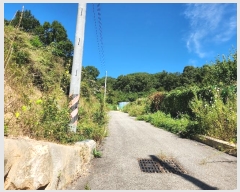  2024Ÿ��1578 ��� ���ֽ� ������ 904       ����(����)���