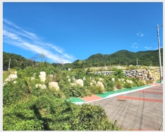  2024Ÿ��1578 ��� ���ֽ� ������ 904       ����(����)���