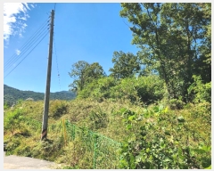  2024Ÿ��1578 ��� ���ֽ� ������ 904       ����(����)���