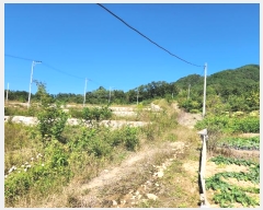  2024Ÿ��1578 ��� ���ֽ� ������ 904       ����(����)���