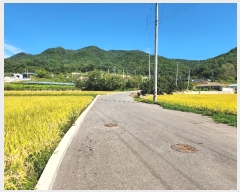  2024Ÿ��1578 ��� ���ֽ� ������ 904       ����(����)���