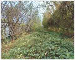  2024Ÿ��1639 ��� ���ֽ� �𼭸� ������ 948-1      ����,â�����