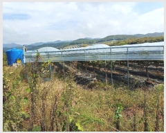  2024Ÿ��1639 ��� ���ֽ� �𼭸� ������ 948-1      ����,â�����