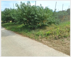  2024Ÿ��1639 ��� ���ֽ� �𼭸� ������ 948-1      ����,â�����