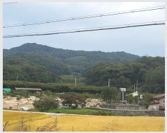  2024Ÿ1691  ֽ ̾ȸ  73      (Ӿ)